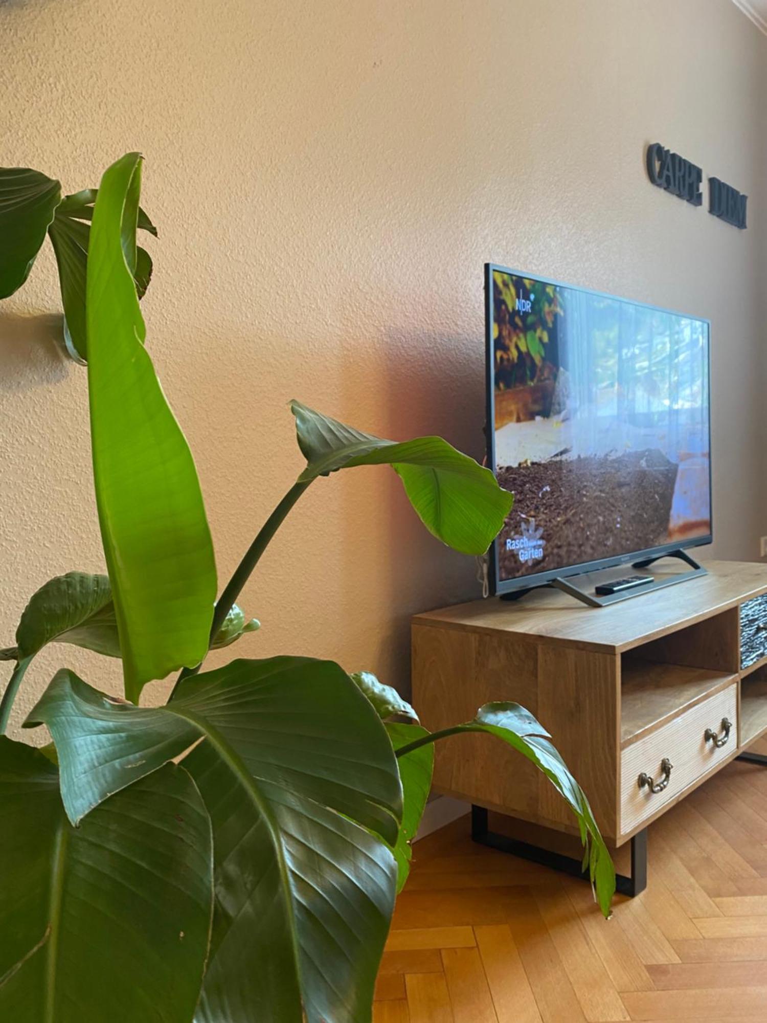 S-villa Im Schwarzwald Apartment